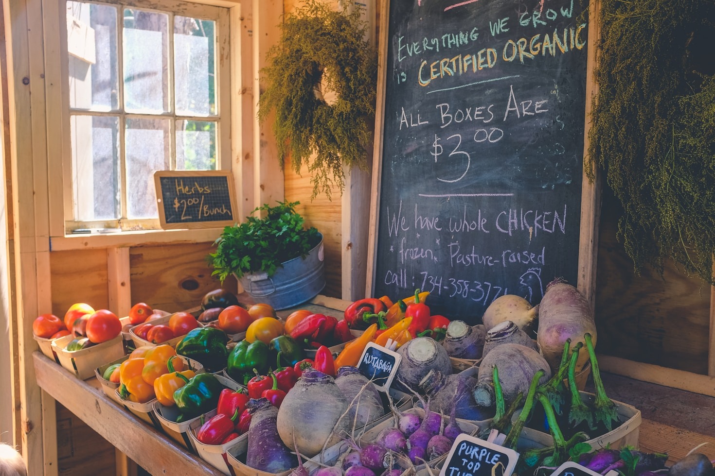 The Connection Between Herbs and Eco-Friendly Living